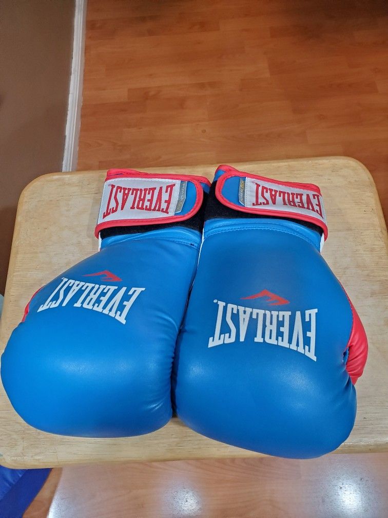 16 OZ Everlast Boxing Gloves for $15