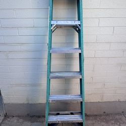 Werner 6 ft Fiberglass Step Ladder