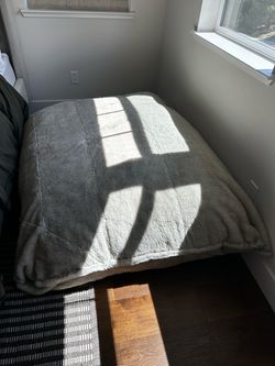 Pillow Sac from Lovesac