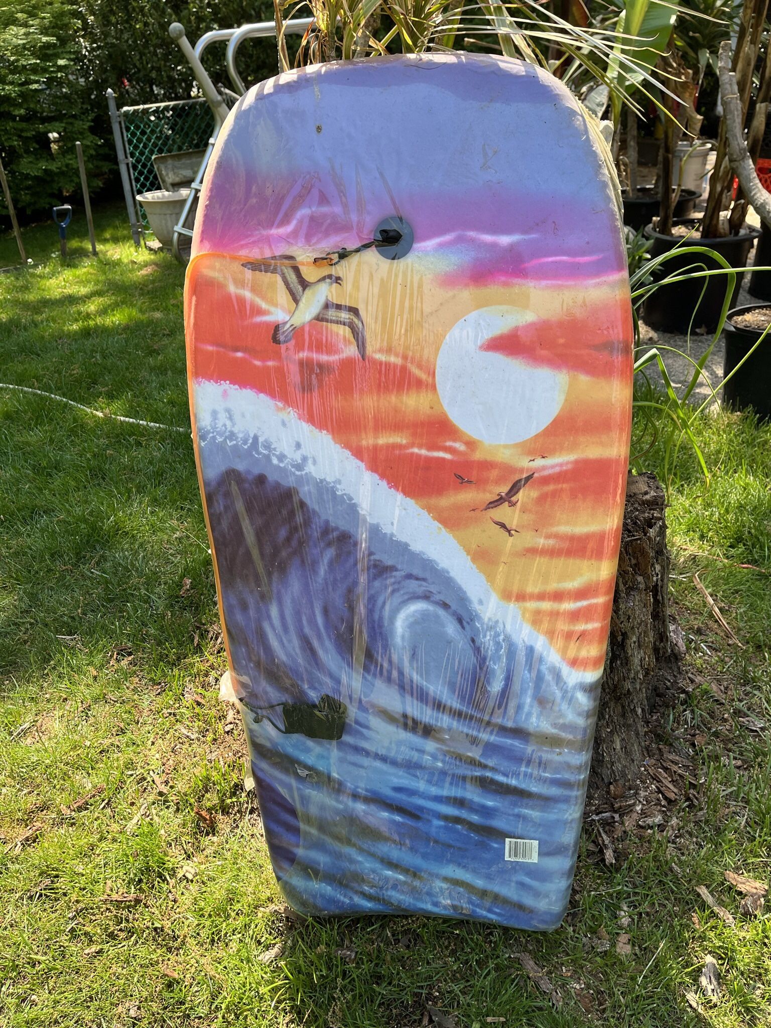 Boogie Board