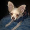 Lola