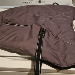 $10 Large Dog Jacket