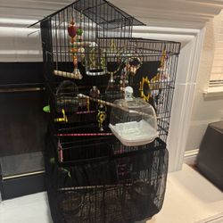 Bird Cage For Bourke Parakeet