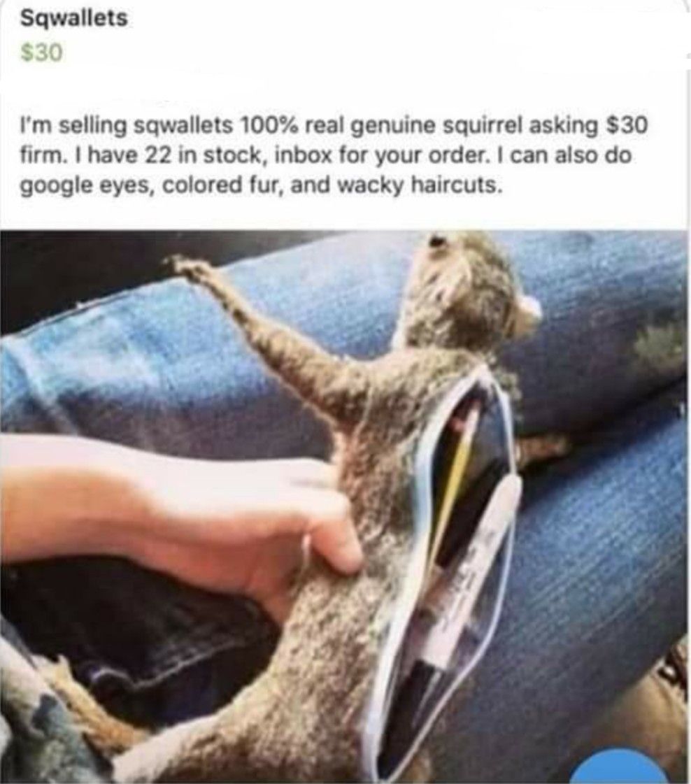 SQWALLETS 100% GENUINE $30 FIRM CAN ALSO DO WACKY HAIR AND GOOGLE EYES WITH COLORED FUR