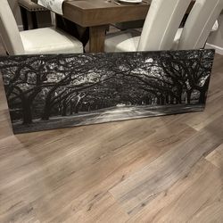 Large B&W Tree Tunnel Wall Art