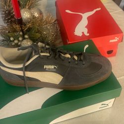 Pumas