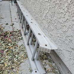 20ft Extension Ladder