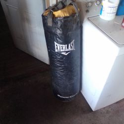 Everlast Punching Bag 