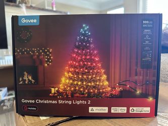 Govee Christmas Lights 99ft