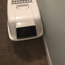 Cat Litter