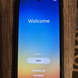Samsung Galaxy S25