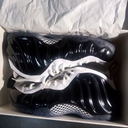 Nike Foamposite One "Concord" (2014)