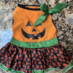 Pumpkin Dog Dress