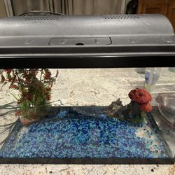  Fish Tank
