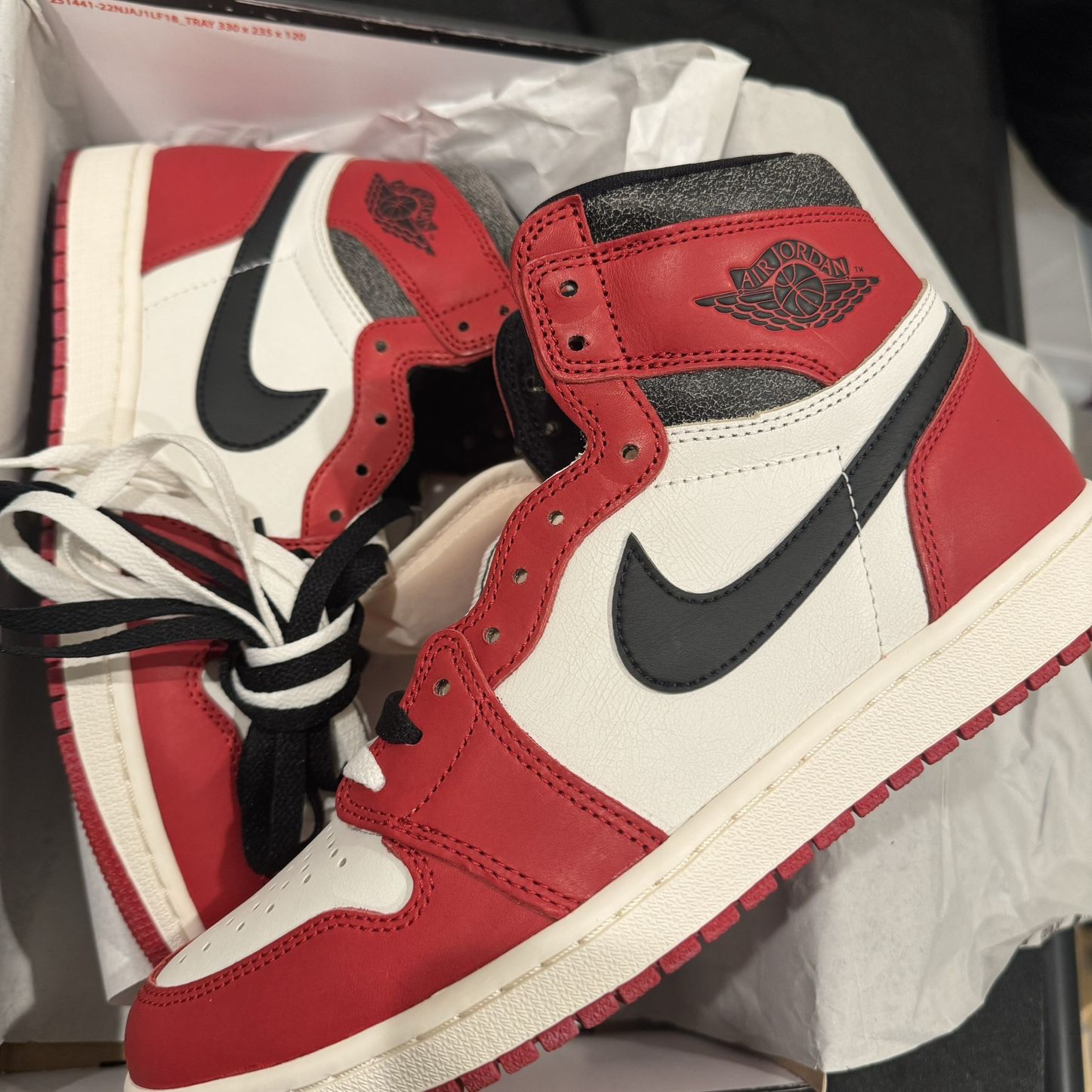 Nike Air Jordan 1 “Lost And Found” Chicago Size 10
