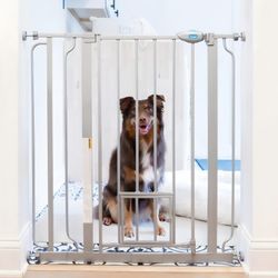 Pet Gate