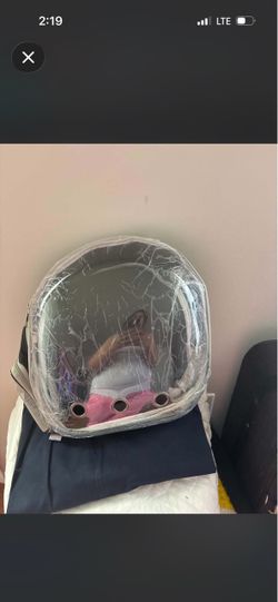 Kitten backpack