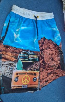 Boys swim trunks size  10/12