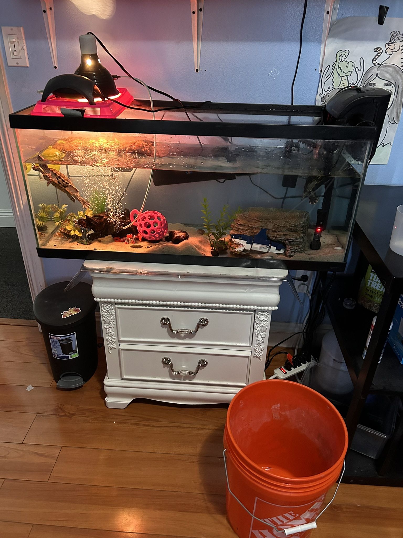Turtle Tank, Supplies, AND Turtles