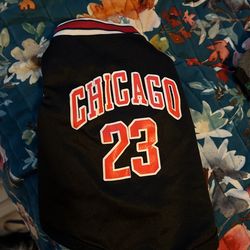 Pet Clothing