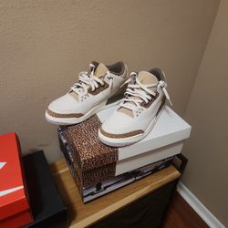 Air Jordan 3