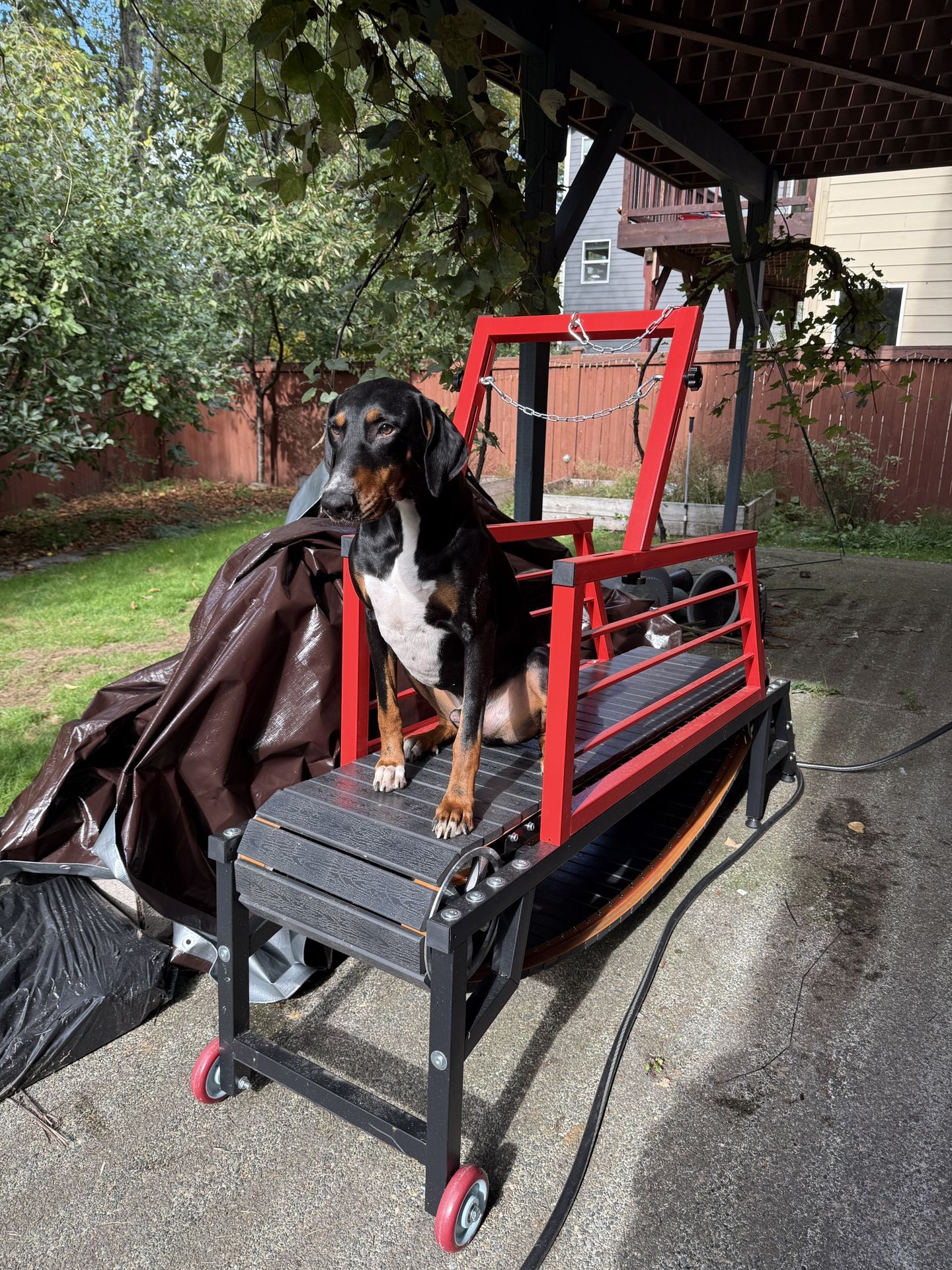 Large Dog Manual Treadmill with Handbrake And Steps