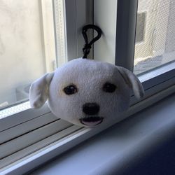 Stuffed Animal