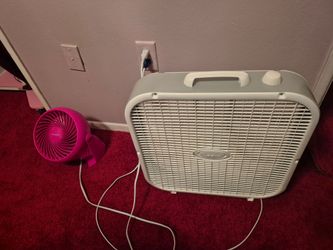 Fans