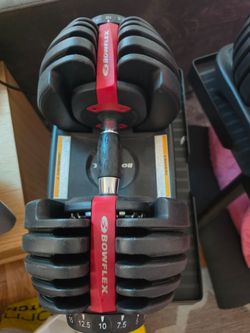Bowflex adjustable dumbbells,  bench and stand