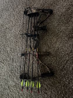 Hoyt Bow