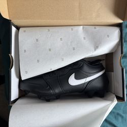 Nike Low Jordan Dunks Cleats 