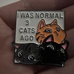 cat pin (shipping only)