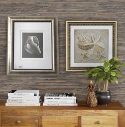 Wampler Seashell Artwork