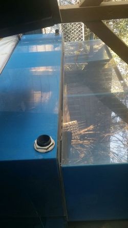 Fish tank rack systems