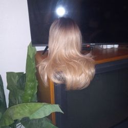 Nice New Long Wig 2 Tone