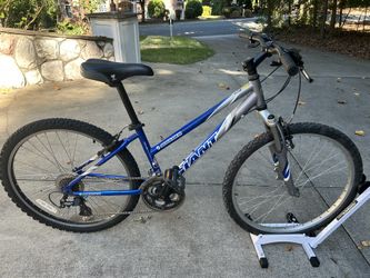 Giant Mountain Bike 14” Frame