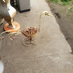 Exotic Garden Bird