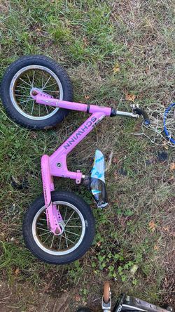 Schwinn Elm 12-Inch Toddler Balance Bike