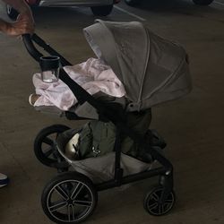 Nuna X Pottery barn Mixx Next Stroller
