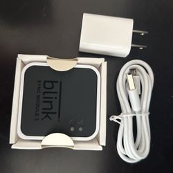 Blink Sync Module 2