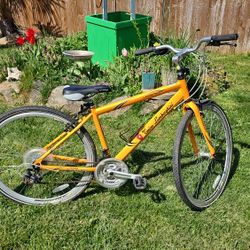 Torino Lambhorgini Bicicle