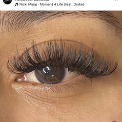 Lashes