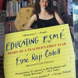 Educating Esmé: Diary of a Teacher's First Year