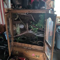 Snake/ Reptile Enclosure 