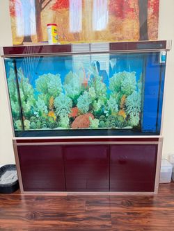 85% new large fish tank