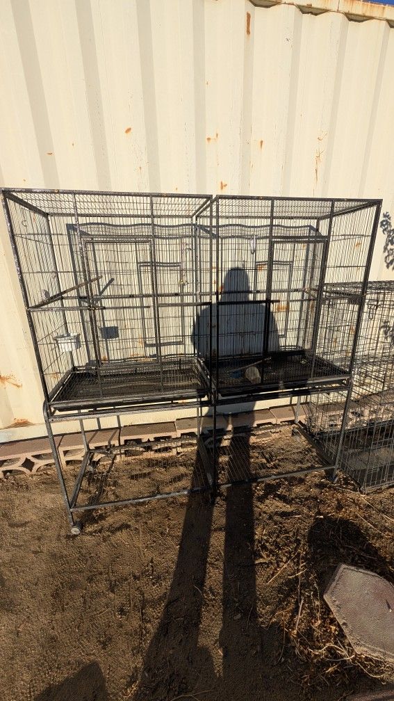 Bird Cage