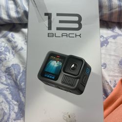 Go Pro Black 13