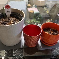 Indoor plant pots - 4 sizes