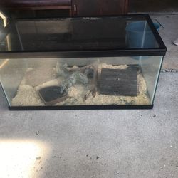 Furniture For Sale