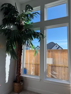 Palm Tree 10’Tall